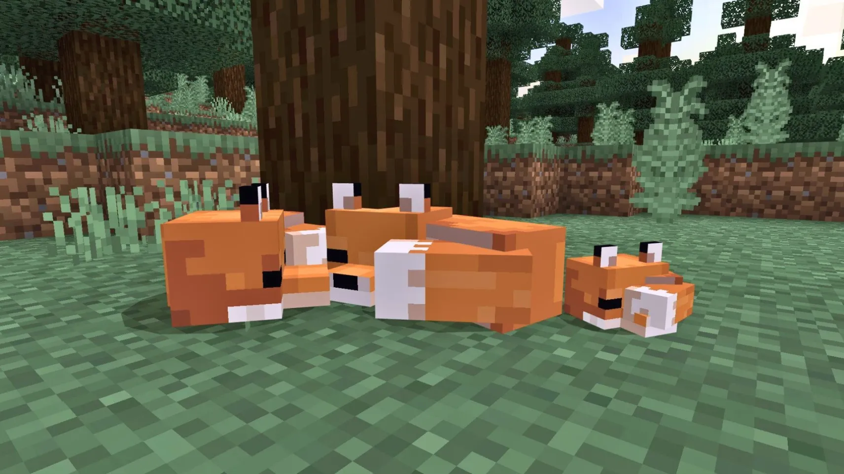 Three Minecraft frogs sitting on mangrove swamp water at dusk with mangrove tree roots in the background